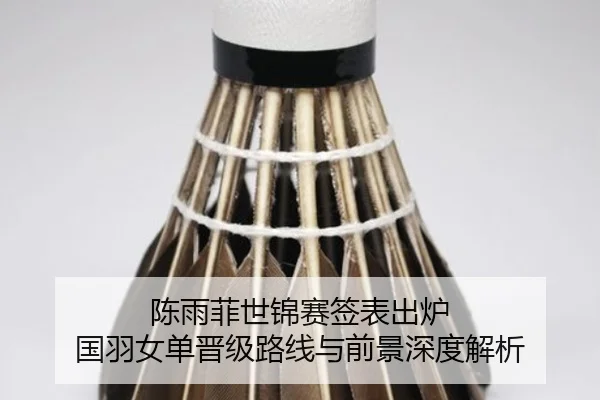 陈雨菲世锦赛签表出炉 国羽女单晋级路线与前景深度解析 | BOYUSPORTS